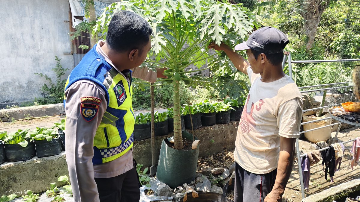 unitbinmaswrj's tweet photo. Bhabinkamtibmas Desa Malangsari, Kec. Tanjunganom memantau pemanfaatan lahan Pekarangan Pangan Bergizi (P2B) milik warga binaannya guna mendukung Ketahanan Pangan Nasional.

#ketahananpangan
#swasembadapangan
#polrikawalketahananpangan
#polrikawalswasembadapangan
#astacita https://t.co/INcWey8EnK
