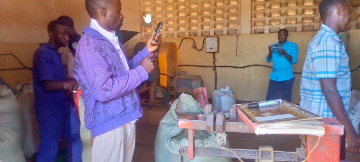 UFCVP's tweet photo. Today Caritas Uganda @Mpigi building  capacity of Kamengo Organic Farmers Cooperative Society (KOFA) in Digital Reporting and Documentation; so they can document and share success stories&amp; advocacy issues @kimenyeddecoop @uctvuganda @Caritas_Ug @CaritasAfrica @CaritasDanmark https://t.co/KqBKICMrmk