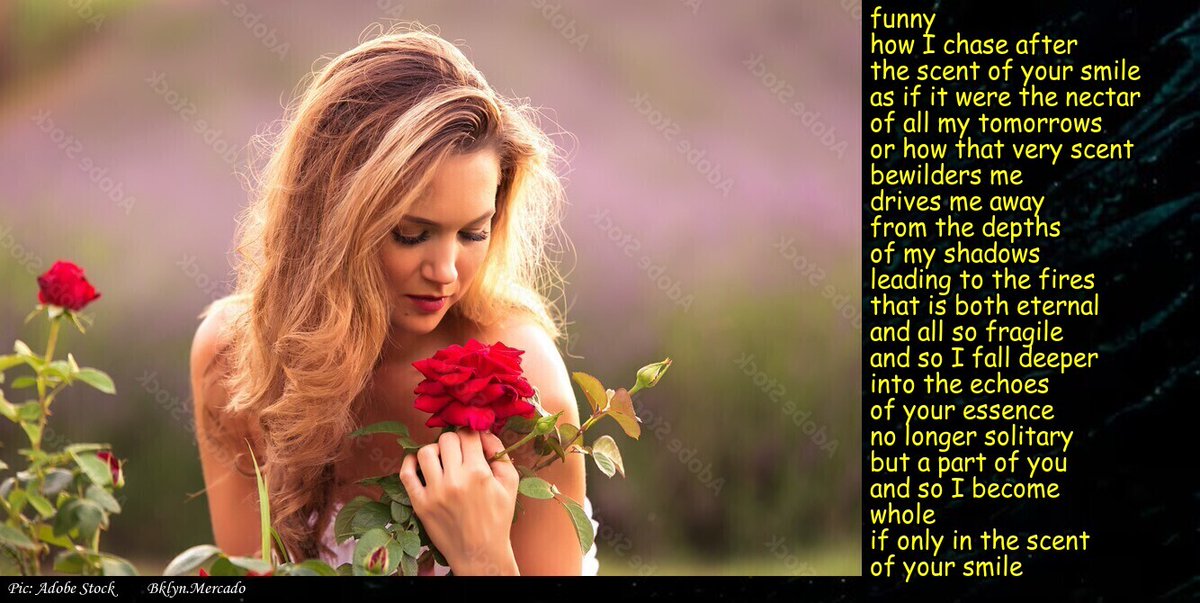 BklynMercado's tweet photo. #Moonmystic Prompts  

10.09  the scent of your smile

10.12  I dare you 
10.14  to forget me
10.16  just another vet

@CBEverettAuthor @PromptAdvant @promptList
@The_Scribblings @vssWriting12532 https://t.co/XbfYkmvcYt