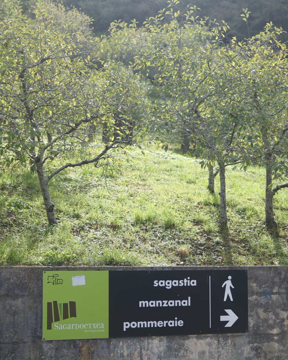 AstiarrakoUdala's tweet photo. 📢En marcha los procesos selectivos para cubrir dos puestos de trabajo en el consorcio Sagardun de Astigarraga

El Ayuntamiento ha abierto los procesos selectivos para cubrir de forma fija los puestos de Guía y Educador/a de Sagardoetxea y Responsable de Marketing y Comunicación. https://t.co/D87n6r2Ww7