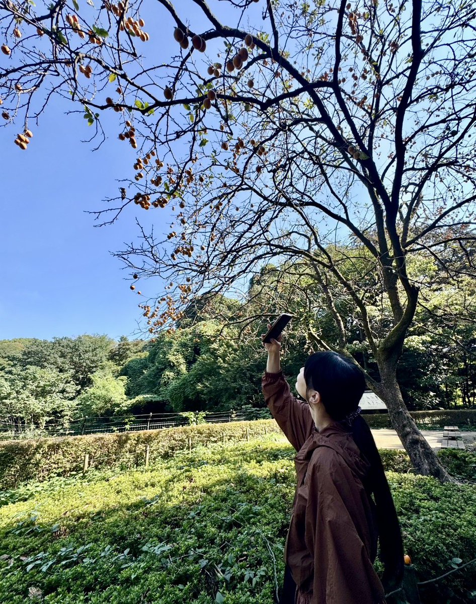 harajuku_king_'s tweet photo. 12月の恒例の写真対決（今回は初のオフ会を絡めた参加型）
に向けて調整する女。
余念がない。
流石だ‼️‼️ https://t.co/arZmiTrCuV