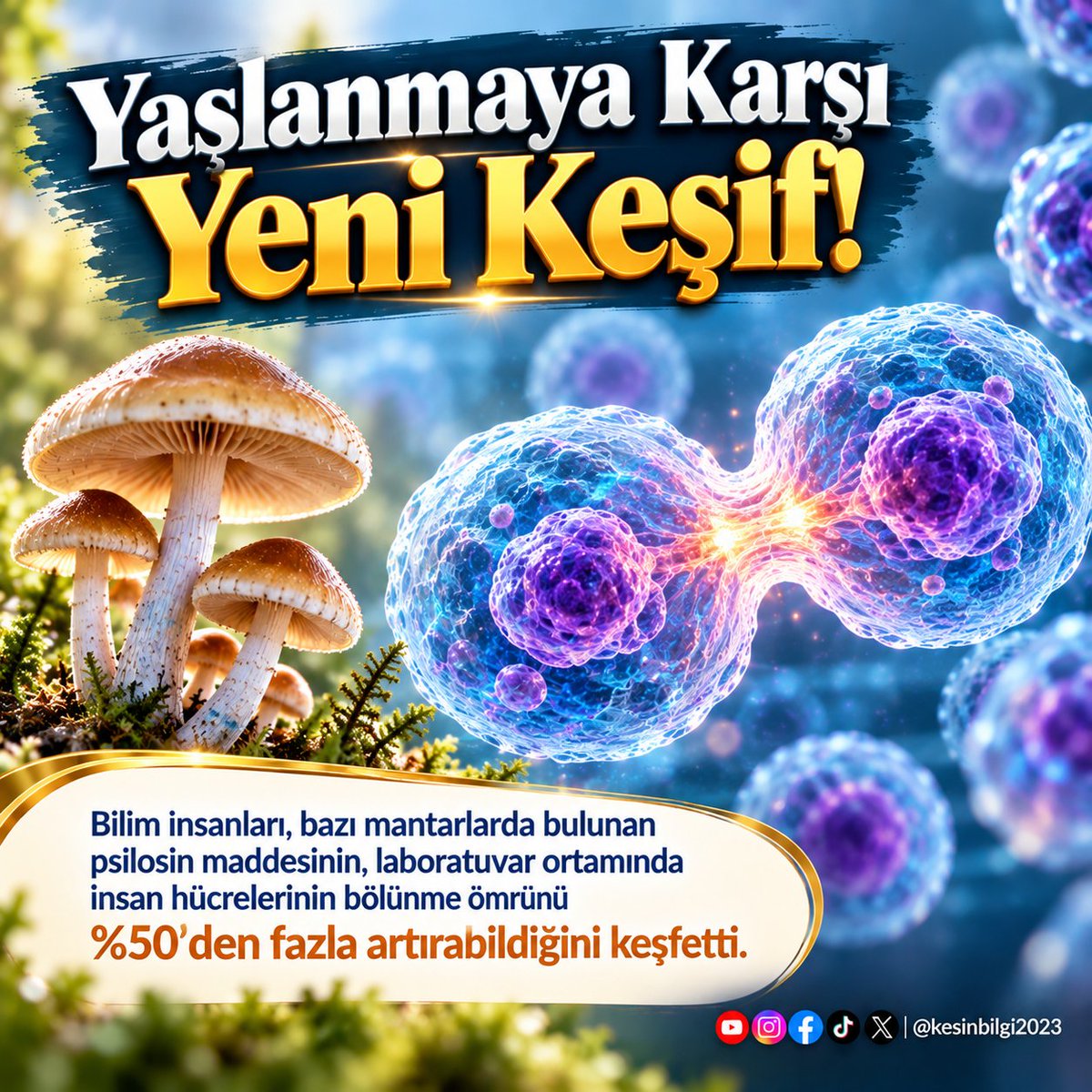 kesinbilgi2023's tweet photo. İnsan Hücrelerinin Ömrünü Uzatan Şaşırtıcı Keşif!

Bilim insanları, bazı mantarlarda bulunan özel bir maddenin, insan hücrelerinin yaşlanmasını geciktirebildiğini keşfettiler.

2025 yılında yayımlanan araştırmada, psilosin adı verilen maddenin laboratuvar ortamında insan deri hücrelerinin bölünme ömrünü %51, akciğer hücrelerininkini ise %57 artırabildiği ortaya konuldu.

Araştırmanın ikinci aşamasında yaşlı farelere, psilosibin adı verilen madde uygulandı. On ay süren deneyin sonunda, madde verilen farelerin %80'i hayattayken, verilmeyen farelerin yalnızca %50'si hayatta kalmıştı. Ayrıca madde verilen farelerde tüylerin beyazlaması ve dökülmesi gibi bazı yaşlanma belirtilerinin daha az olduğu gözlemlendi.

Bu şaşırtıcı keşif, hücresel yaşlanmanın geciktirilmesine yönelik araştırmalar açısından önemli bir gelişmedir. Ancak henüz insan ömrünün uzatılabileceğini kanıtlamamaktadır.

İnsan bedenindeki her hücre, başlı başına bir yaratılış harikasıdır. Hücrelerin çoğalması, kendilerini onarması ve yaşlanması son derece hassas biyolojik sistemlerle gerçekleşir. Bilim insanlarının keşfettiği her yeni ayrıntı, bu muhteşem düzenin ne kadar kapsamlı olduğunu göstermektedir.

Kaynak: Kato, K. ve arkadaşları (2025). Psilocybin treatment extends cellular lifespan and improves survival of aged mice. npj Aging.