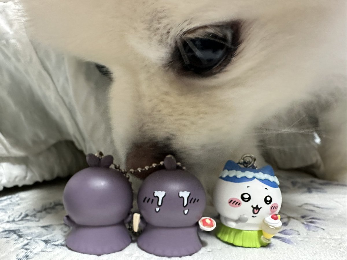 poorwareuu tweet picture