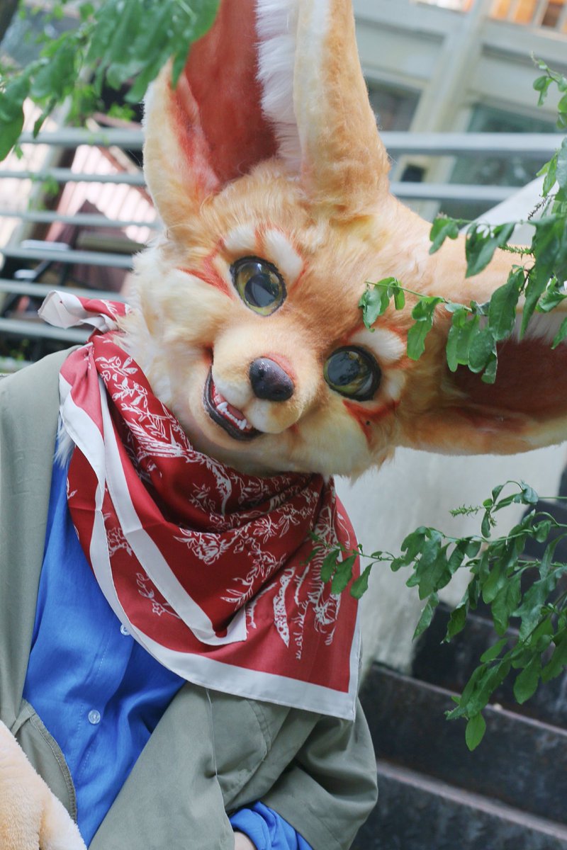Anason_2333's tweet photo. 🦊#fursuitFrifay 
📸@Yoyun97 https://t.co/0e1lSlLQH5