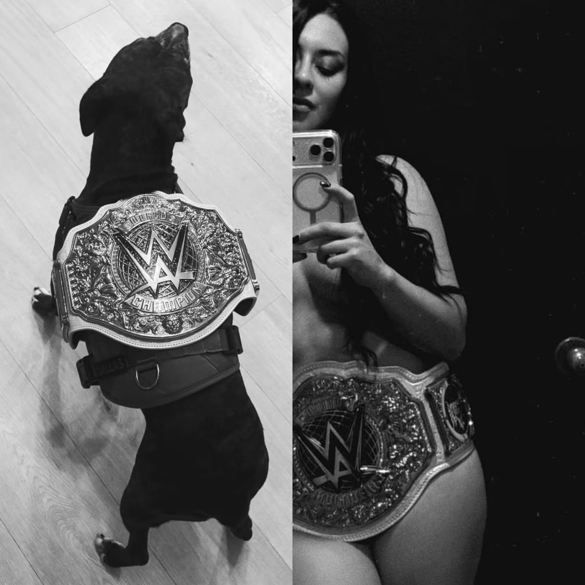 Stephanievhdhe's tweet photo. We made the impossible possible.
History was made.

Hicimos posible lo imposible y, una vez más, hicimos historia.

12 de septiembre de 2026
WWE Women’s World Champion
Santiago de Chile 🇨🇱

WWE❤️

https://t.co/jsIcVSVePG https://t.co/rnfVTID5Mf