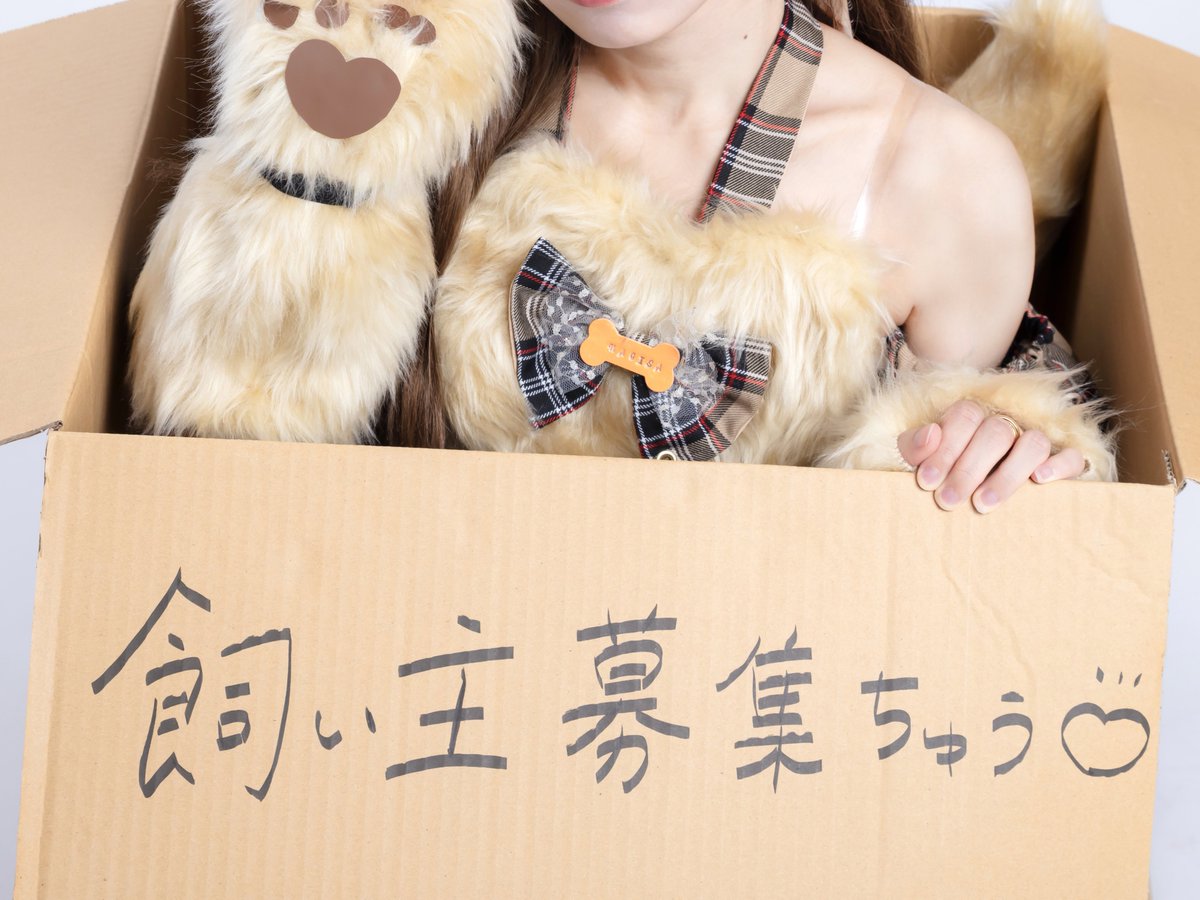 _MyDresscode_'s tweet photo. 🐶👑🎃...❓
𝙲𝚘𝚖𝚒𝚗𝚐 𝚜𝚘𝚘𝚗... https://t.co/fm5g3daJqL