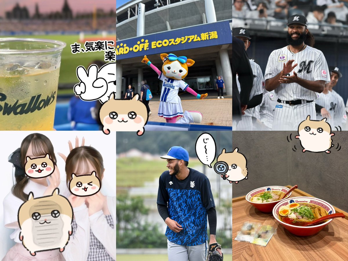 l38amg's tweet photo. 詳細はALTです⑅ᐢ•ω•ᐢ⑅
#ベイスターズファンと繋がりたい #プロ野球ファンと繋がりたい https://t.co/4TcuieZdB6