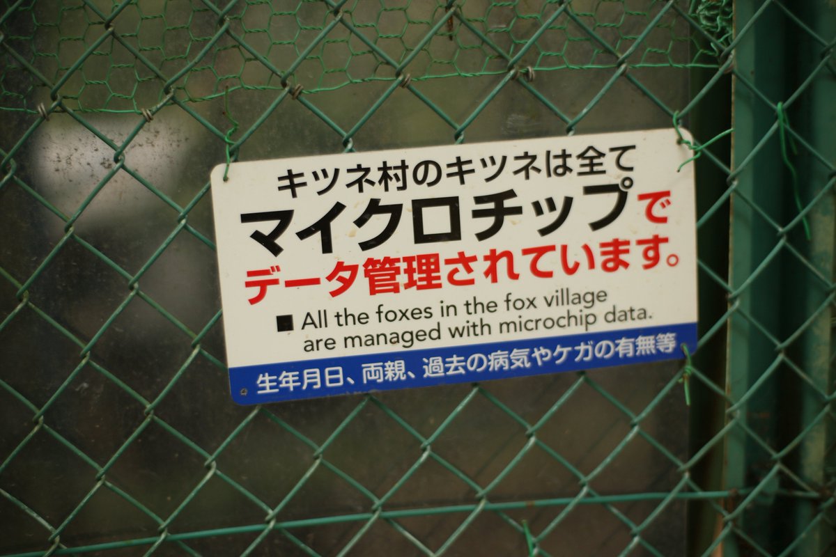 Yoru_BP's tweet photo. このまえ行ったオカマとキツネ https://t.co/UDIGodNZDw