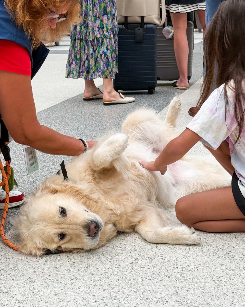 FlyORF's tweet photo. Today we're celebrating 1 year of our Welcome Waggin’ therapy dog program! 🐶

From easing travel-day nerves to greeting passengers with a friendly face (and plenty of tail wags), our four-legged volunteers have made a paws-itive impact on the airport experience.

Here’s to one amazing year and many more happy travelers, belly rubs and wagging tails to come! 💙🐾

📍Join us in our Main Lobby today from 2-4 p.m. for a Welcome Waggin' swag giveaway!