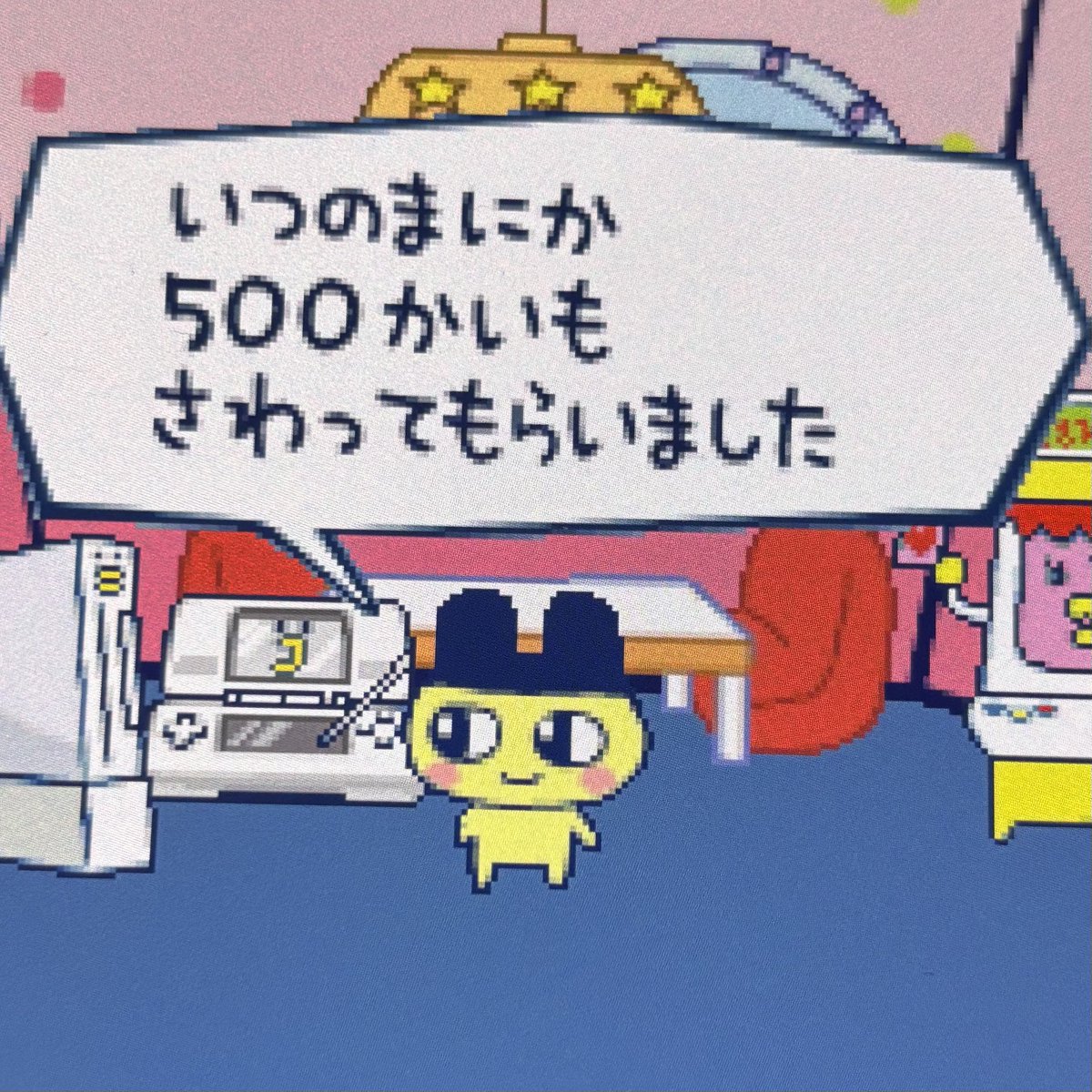 nire023's tweet photo. お世話し続けてたらやっとまめっちと仲良くなれてきました https://t.co/TYNBGBpbqd