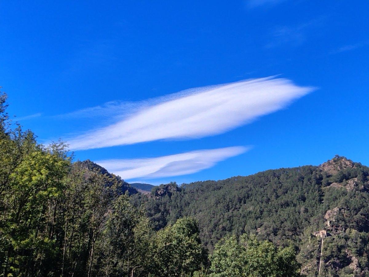 MeteoRibes's tweet photo. Celatge de #ribesdefreser #vallderibes #ripollès #tardor #octubre https://t.co/8sFZkAgGGr