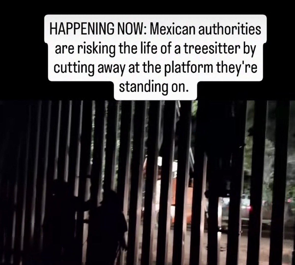 _maxgranger's tweet photo. Hey @Claudiashein and @AlfonsoDurazo, is killing tree sitters to help build Trump’s border wall part of @PartidoMorenaMx’s eco-socialist transformation? https://t.co/ysgUtP9go5