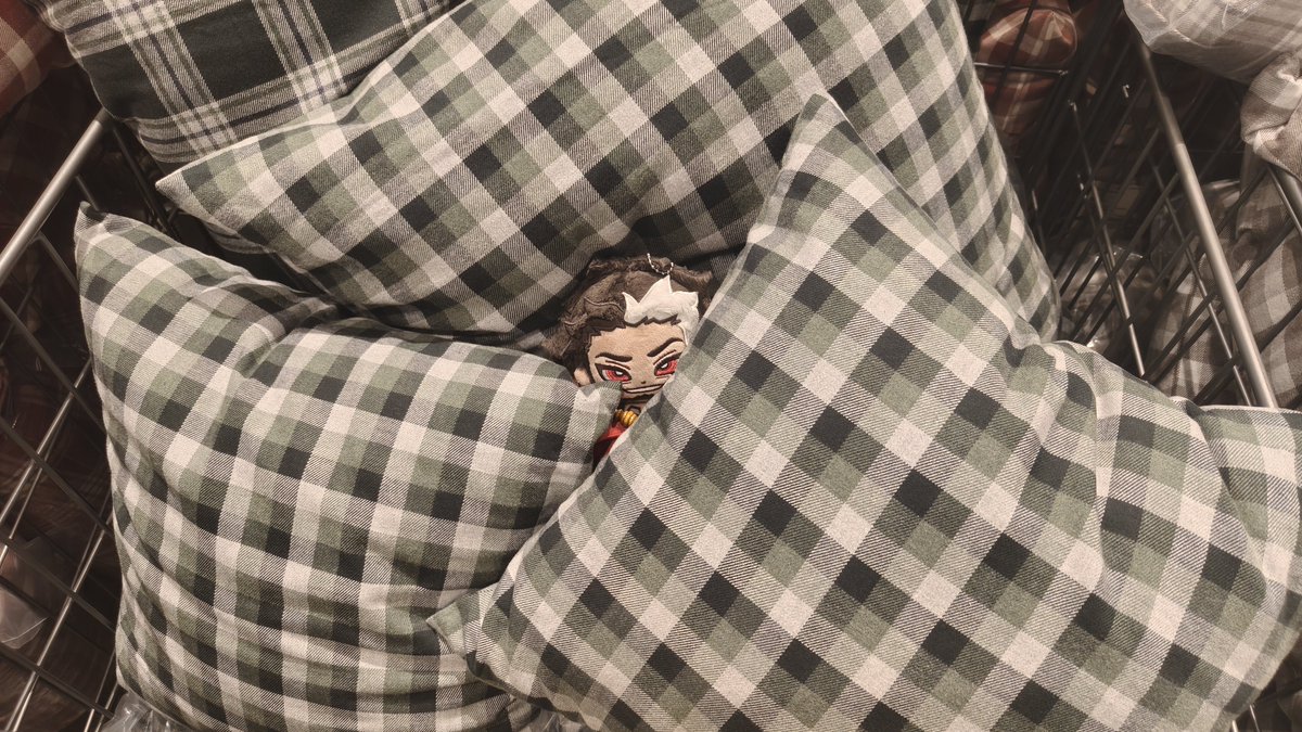 KINGda12840307's tweet photo. mauga就这样毛茸茸的逛商场
#mauga https://t.co/eAAWP14Pw9