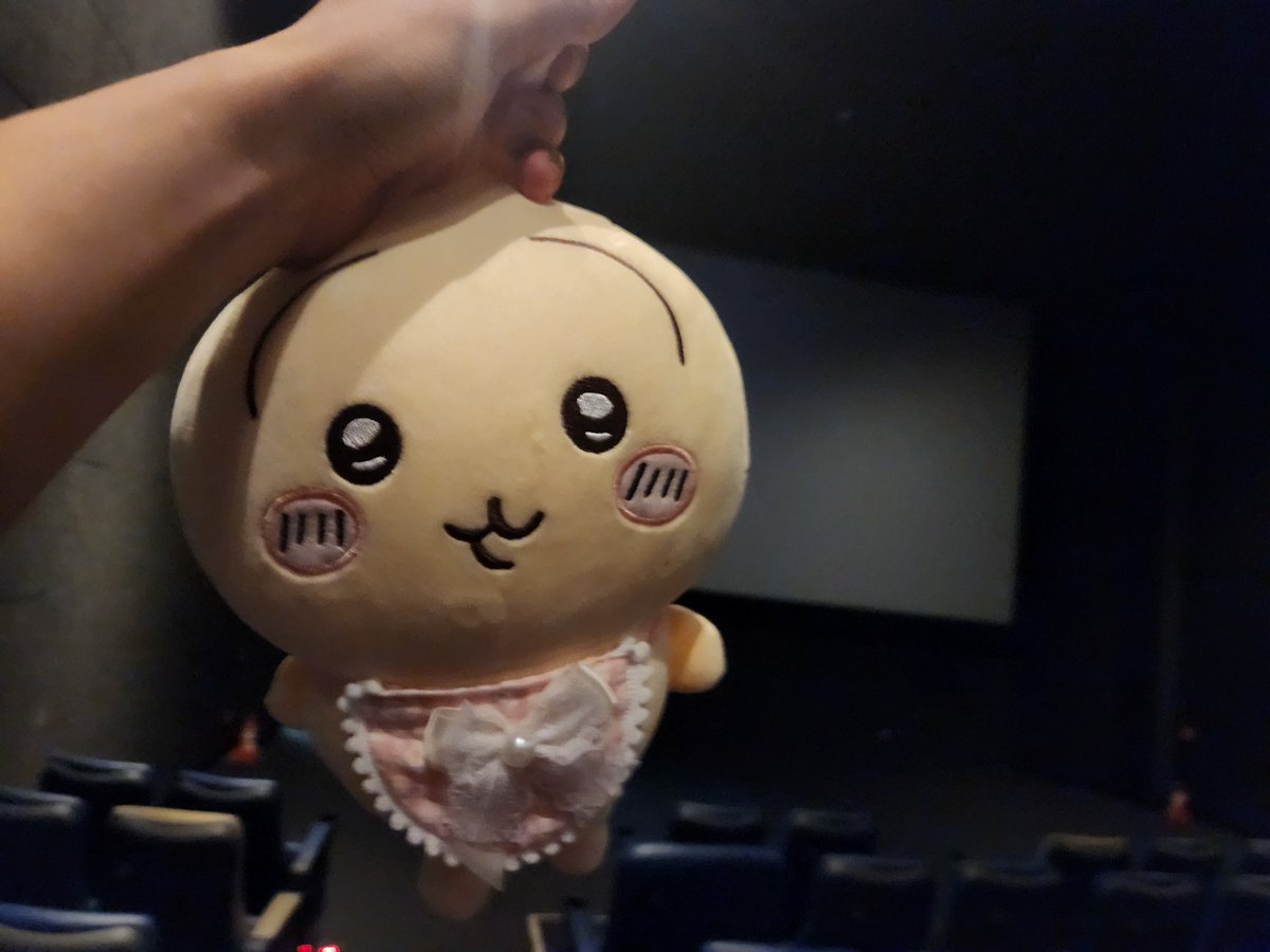 wtfpikmin's tweet photo. @STAYTUNED_shko 이렇게 되어보실래용 https://t.co/lQBlULa7BK