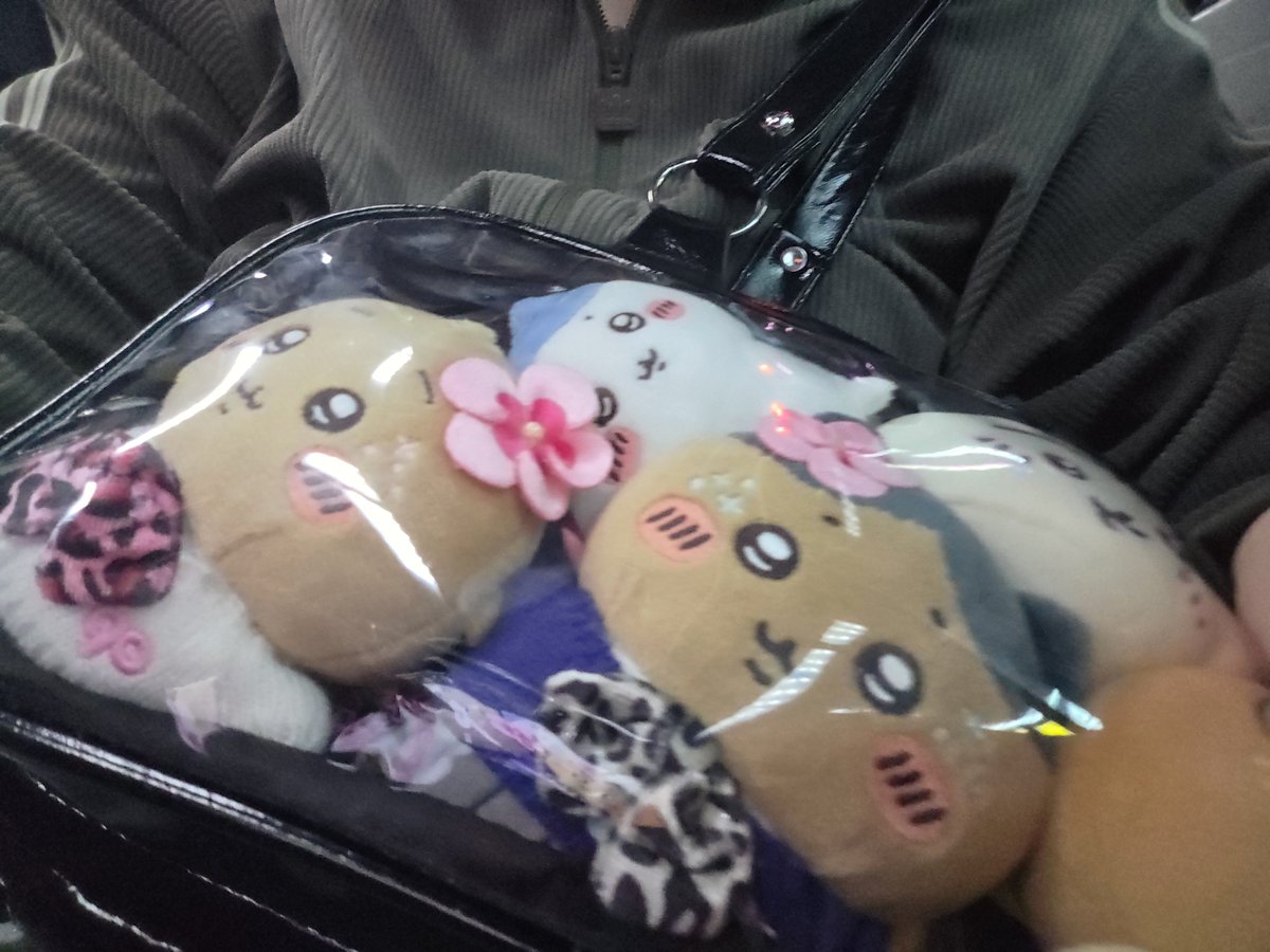 5501_kawa's tweet photo. 퇴근하고 버스탔는데 기사 아저씨가
강아지 데리고 타신분 내리세요!!!!
이러길래 암생각없이 노래듣는데
나한테 화내는거임
내 이타백에 햄냥토 보고 내리라는거엿음
이건 강아지가 아닌데도 https://t.co/TYIWA5g7Tn