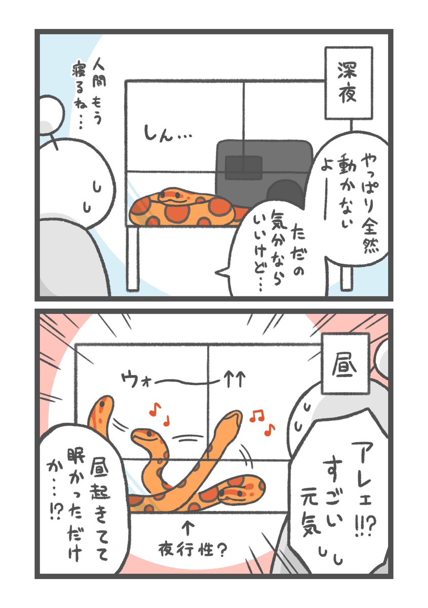 Ultra_dondoN's tweet photo. 続・絵日記
人間の居ぬ間にフィーバーしてただけらしい https://t.co/7Q8RceH4tM