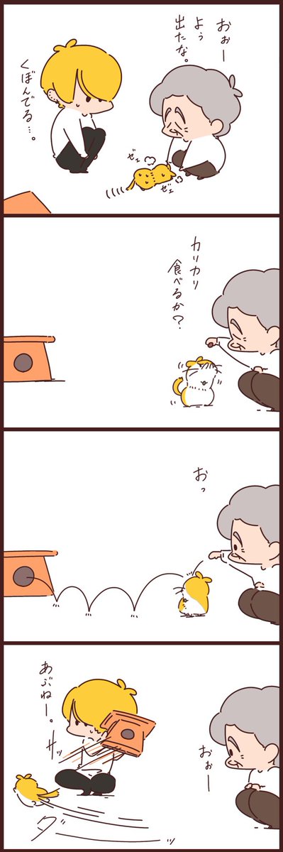 skipjack_tuna_'s tweet photo. チャラ孫とばぁばと猫失踪。その3。

#チャラ孫とばぁば https://t.co/e10Gdy11fc
