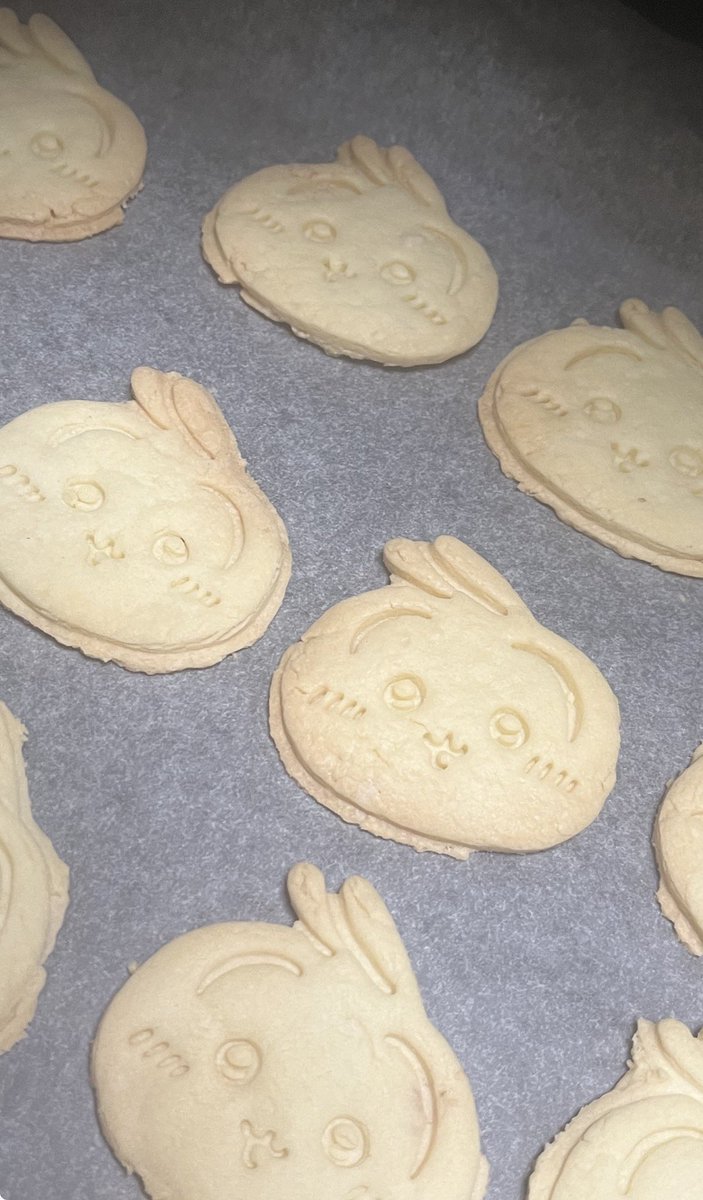 Usagi_sama0122's tweet photo. これは遥か昔むちゃうまプリンの型でクッキーが作れるとバズってた際、試しに作って爆死した不器用JDによる3時間クッキング── https://t.co/30l8FoNEiy