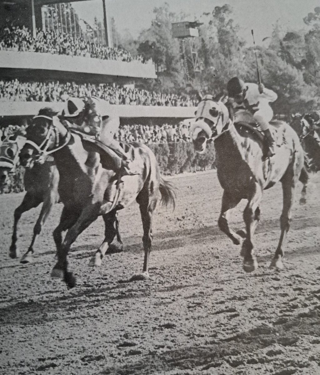 HORSERACING1002's tweet photo. GUADAMUR 🇲🇽 1966
(TALGO II ▪︎ MELUSINA BY MY BABU)
#Guadamur https://t.co/cPRkSOqfOW