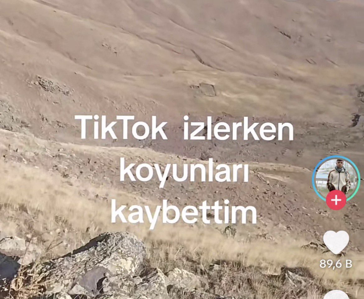 minh0lic's tweet photo. barışın garsonluk https://t.co/c6VlPvIL6L