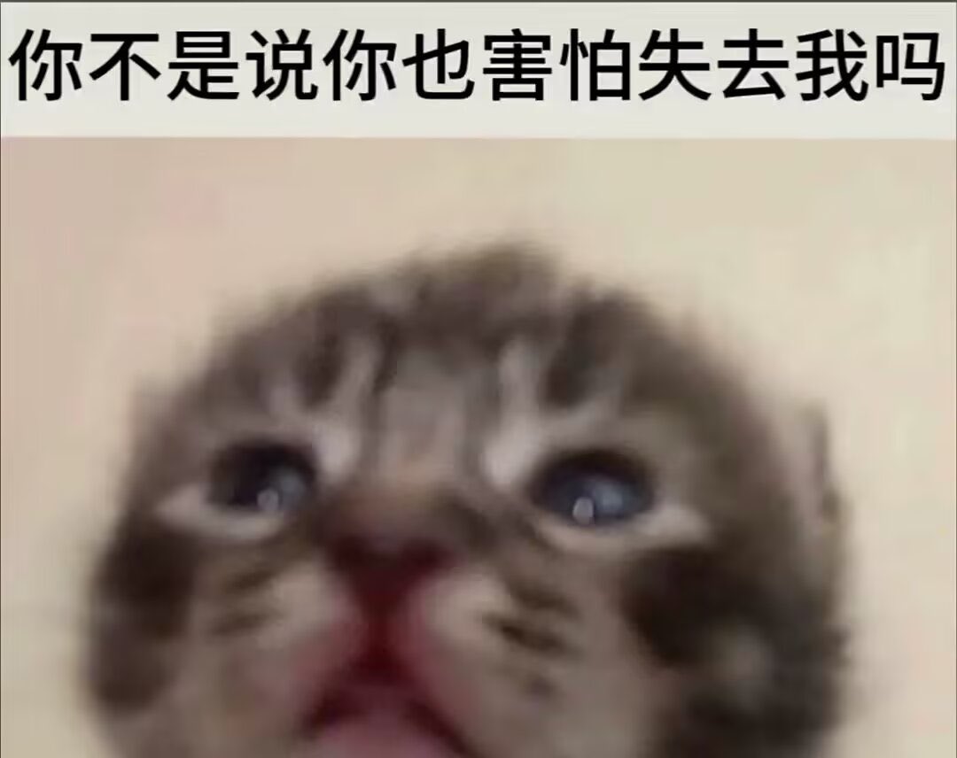 TTll00l's tweet photo. 有人喜欢你，是因为你有点好看，漂亮，懂事，而有的人喜欢你，是因为你哭了，明白你的狼狈，想把肩膀和爱都给你。 https://t.co/pjrV7yVCIh