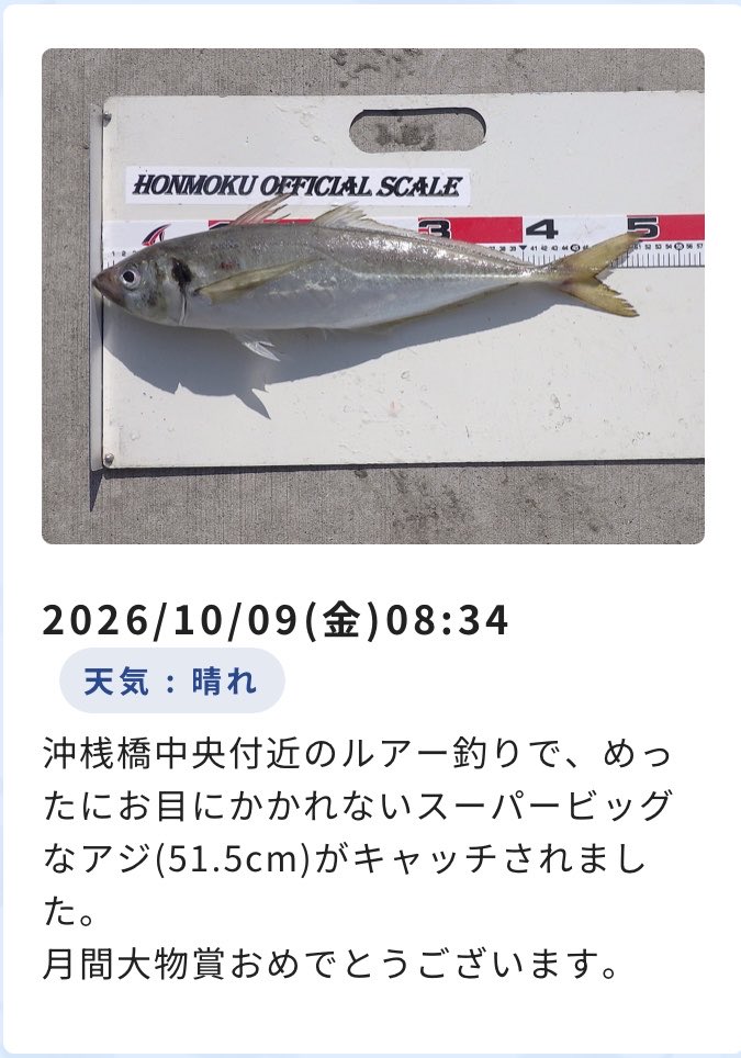 TOKYOAJIKO's tweet photo. 本牧海づり施設でもT🤩
https://t.co/AS2esBlHot https://t.co/NQY4BMtfew