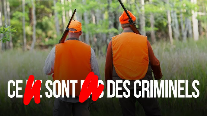 TichVanOndermui's tweet photo. @20Minutes Nos "amis" les #chasseurs, "premiers écologistes de France" comme ils disent...
#chasse #chasseur #criminels #dangerpublic #ordures https://t.co/aw8tXvuIRy