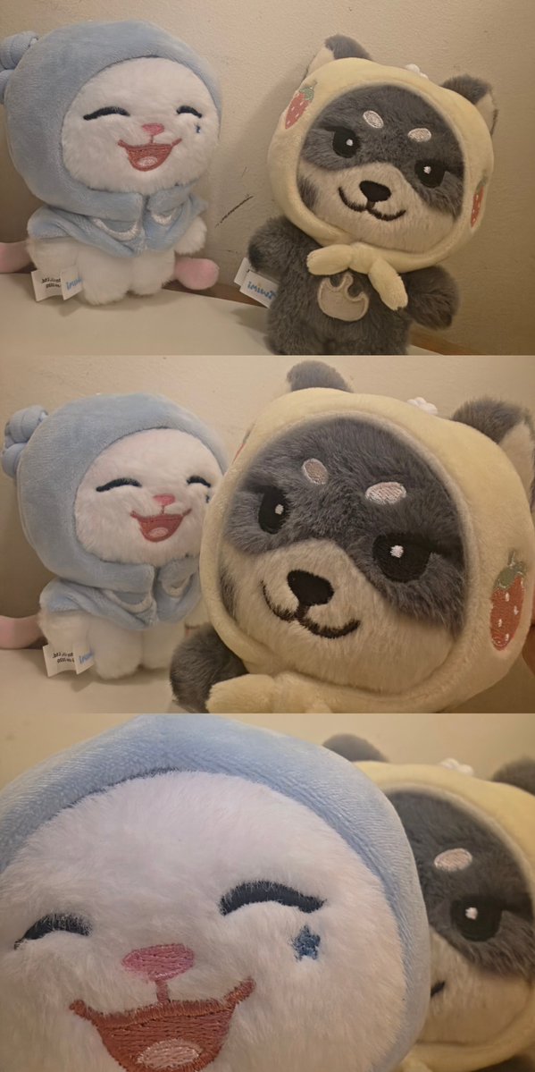 twshari_'s tweet photo. 1 정상적인 예절샷
2 도쥬니가 도쥬니함
3 햇피가 햇피함
4 멍삐코어,,, 멍삐코어1열기츄니

오늘 이러고 놀았어예• ᴗ • https://t.co/RPlzHRSF2T