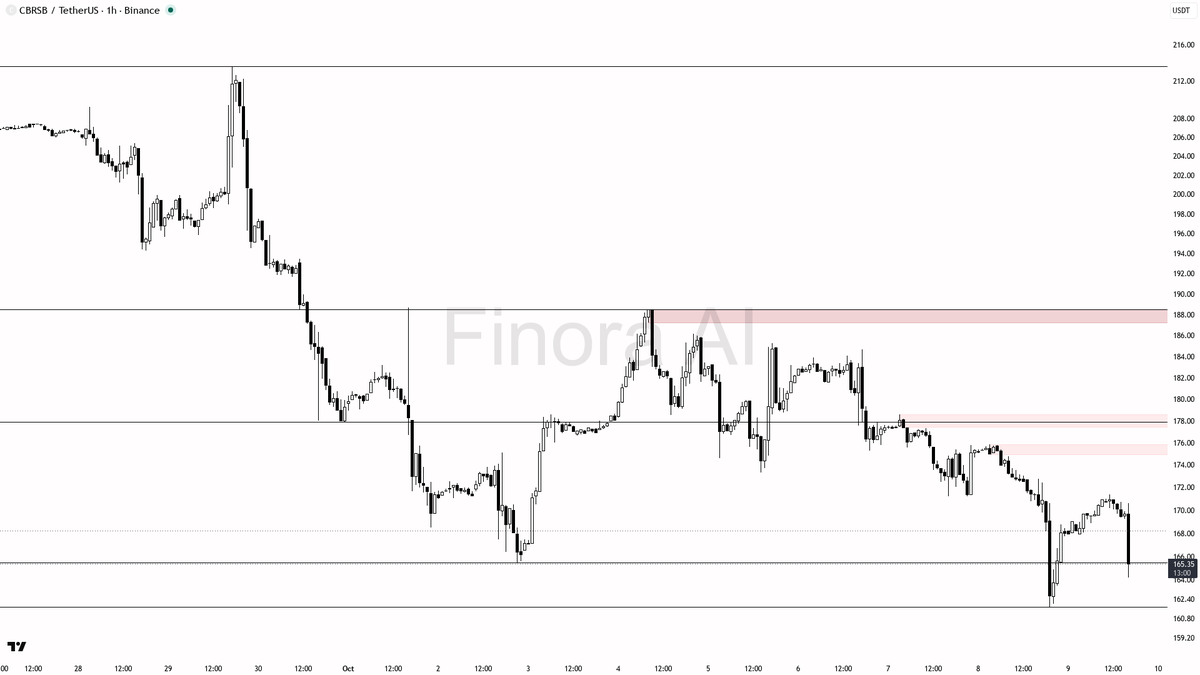 💣 $CBRSB : 13.9x volume whipsaw with a sharp -3.1% dip, is this liquidation or a trap? 🧵👇 
 [📷](https://pbs.twimg.com/media/HUMXfThWcAApt-A.png) https://pbs