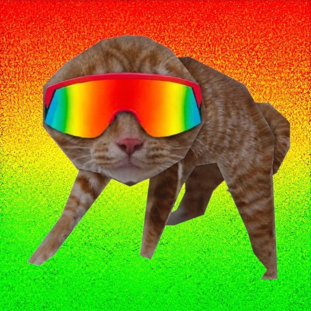 jiokkms0a4's tweet photo. Mogging all other coins without a sweat.

$MOGCAT 

DdcLYo8T6gniuLjYPsAHqASC1ViTaMyPwKEVWFqYpump https://t.co/jaTuz18TfN