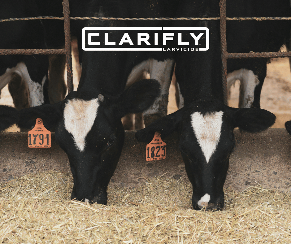 ClariFlyCentral's tweet photo. Now is the time to start thinking about next season’s fly control strategy. Learn how the 30/30 approach with ClariFly® Larvicide can help you plan ahead and stay proactive against fly populations. Discover how it works:
#FlyControl #FlyPressure #ClariFly #PestManagement https://t.co/nZzbmIETtk