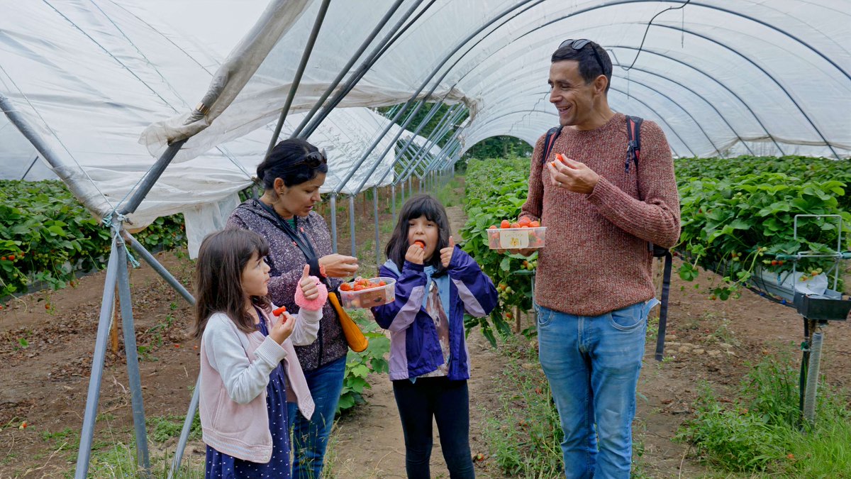 OpenFarmSunday's tweet photo. 80% of #OpenFarmSunday hosts say promoting British produce is a key reason they take part. 

This #BritishFoodFortnight, we're celebrating all those farmers opening their gates &amp; helping people see food can be produced in harmony with nature.

@LoveBritishFood #BritishFood #LEAF https://t.co/AFBe9t96IC