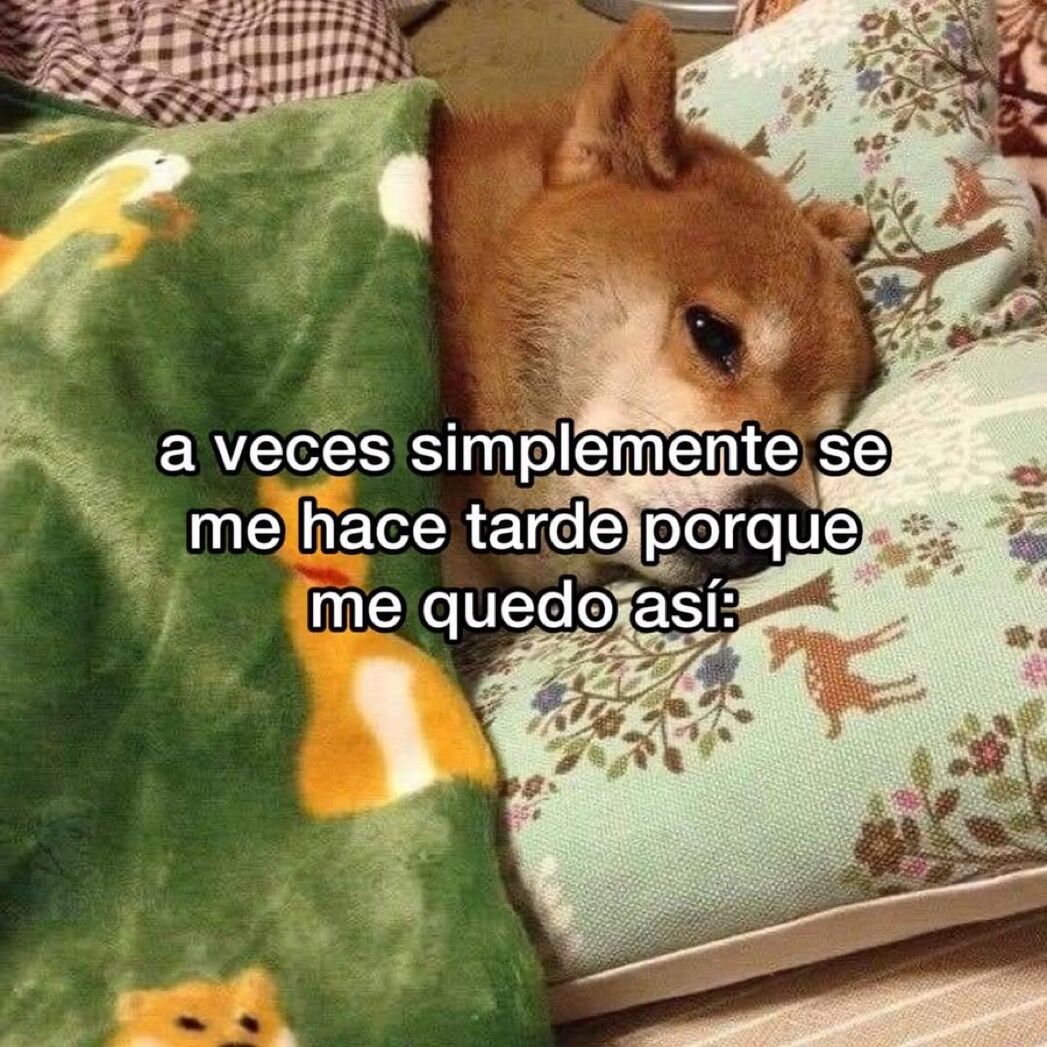 cornulda's tweet photo. a veces https://t.co/i6YgjfTJmg