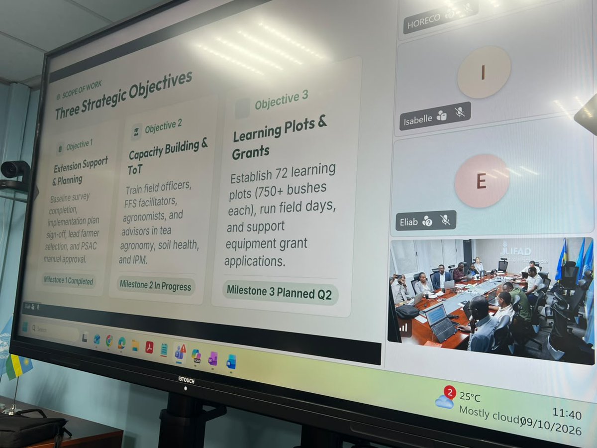 HoReCo_Rw's tweet photo. Today, we are delighted to present the 2026 #PSACProject #FFS implementation progress report to the @IFAD supervision team. Through #NAEB , #HoReCo continues to empower smallholder tea farmers through capacity building, sustainable agronomic practices, &amp; productivity enhancement. https://t.co/PStoLhJ6oa