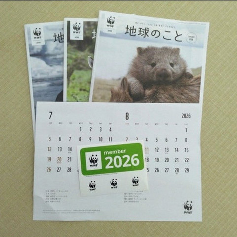 guille1905a's tweet photo. バカから日曜遅くとも深夜3時には寝ようと思ってたのに、まのさばの話してたら6時になって今なお睡眠不足になってる https://t.co/6HRIm99h9u