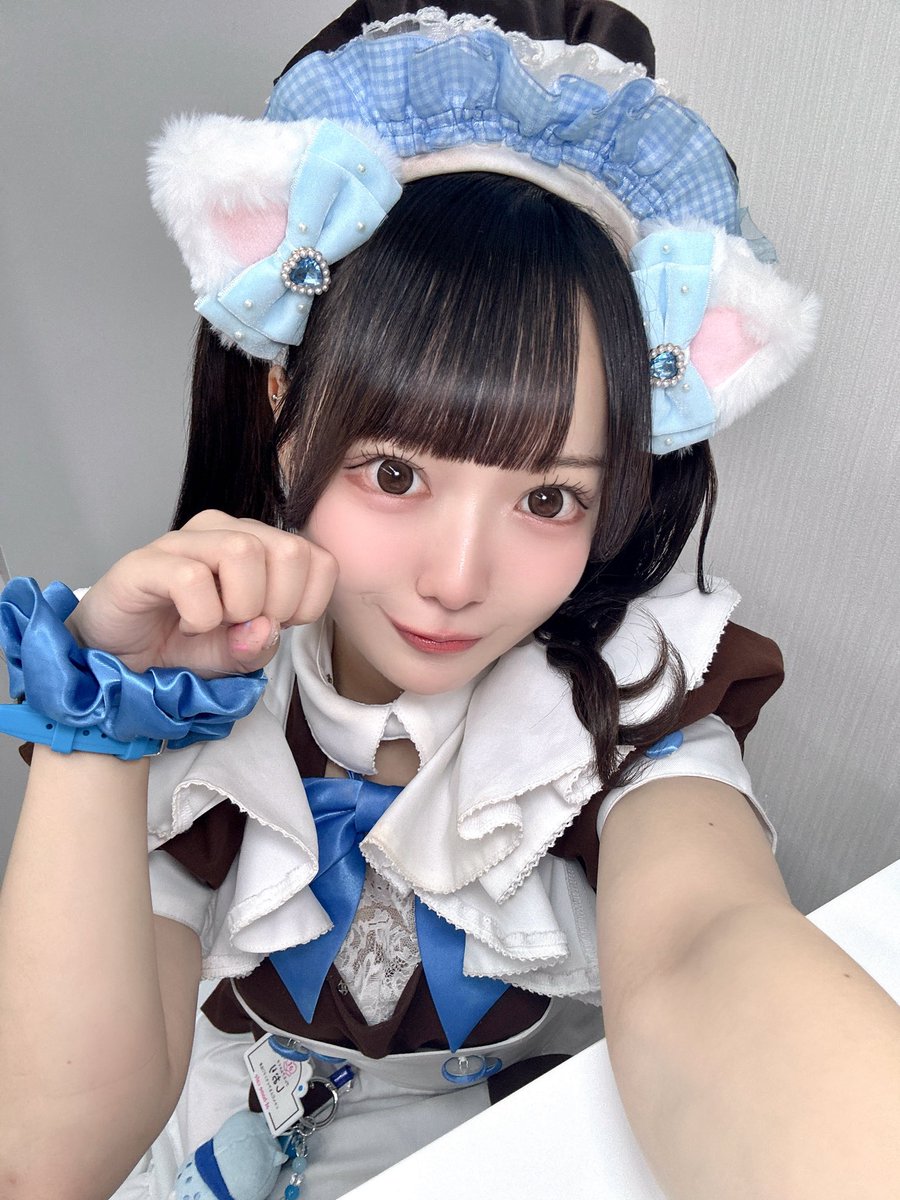 maid_shiori's tweet photo. (/・ω・)/にゃー! https://t.co/u20ZbanuJH