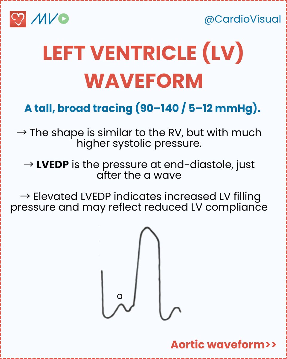 CardioVisualApp's tweet photo. Waveforms 101: the left heart 🫀
 
Save this one for review 

Follow @CardioVisual for expert-led visual cardiology.

#Cardiology #CathLab #Hemodynamics #Waveforms #AorticStenosis #MedEd #MedStudent #CardiologyFellow #InterventionalCardiology https://t.co/XgFFgZKEIg