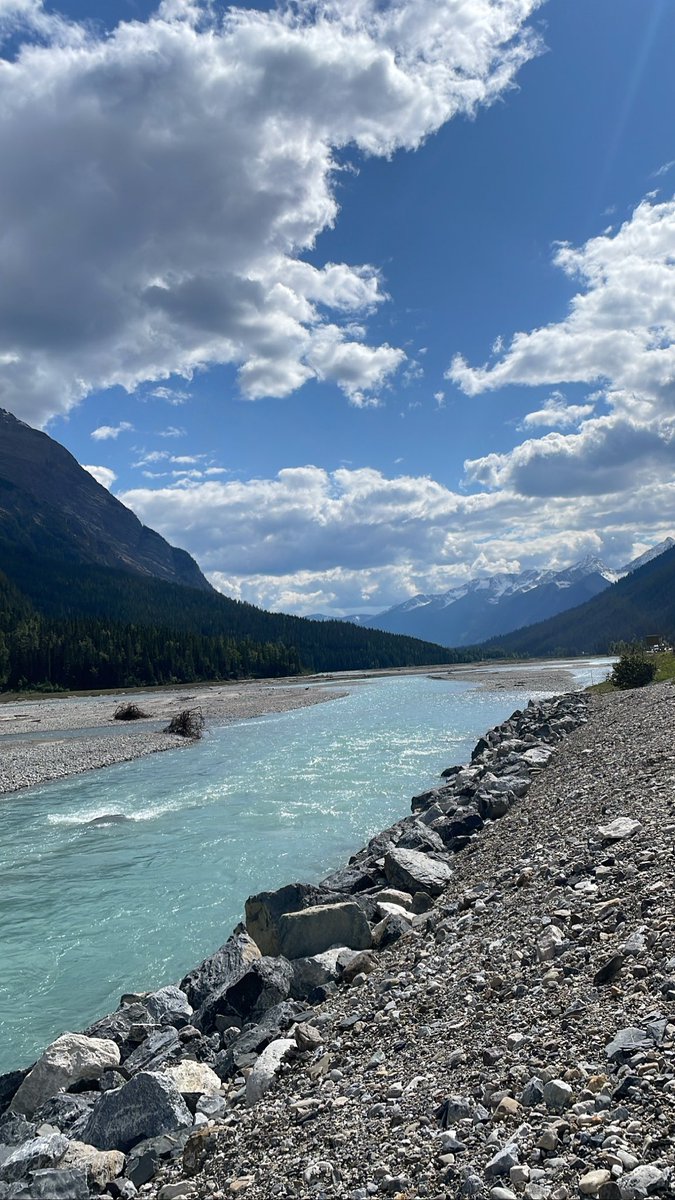 livehomecha's tweet photo. we need bon voyage in banff 🇨🇦💜 https://t.co/lfq14aZVXt