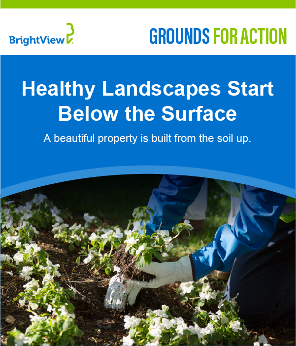 BrightView's tweet photo. 🌱 Healthy landscapes start from the ground up. The right soil and turf care can help your landscape stay healthy, resilient, and looking its best.

Discover 5 services that support healthier soil and turf: https://t.co/Mc2NfWVUSG #BrightView #GroundsForAction #SoilCare #TurfCare https://t.co/889CXDdWVW