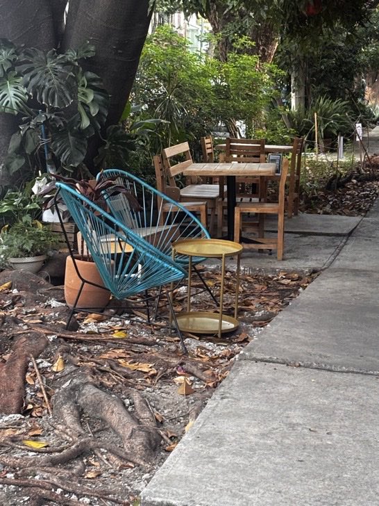 Delvalle_Quejas's tweet photo. Buenos días @LuisMendozaBJ @AccionesBJ @BJAlcaldia en la calle de Moras número 626, Colonia Del Valle. hay un restaurante "Tierra Paraíso" están construyendo sobre las raíces de un Hule, solicitamos verificar esta construcción que claramente daña las raíces de el hule. @NArrF https://t.co/Dxo9B9e0gf