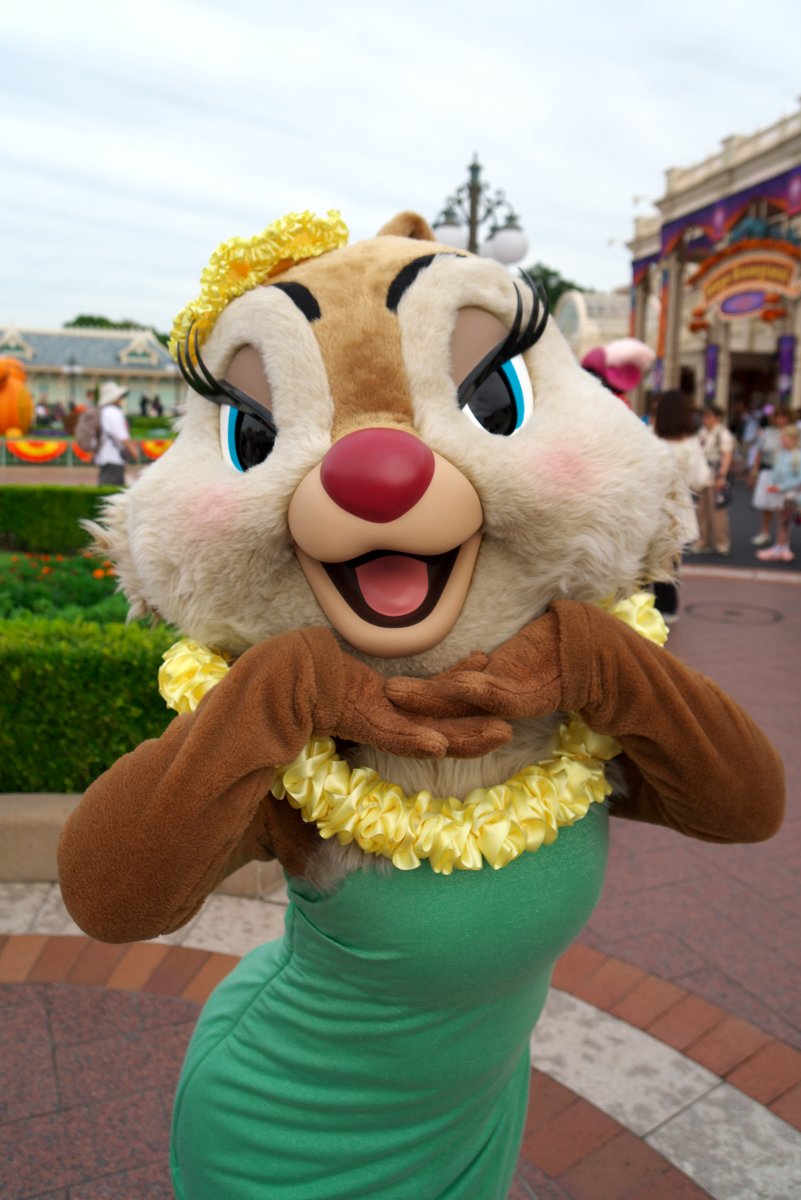 WAO2010 tweet picture