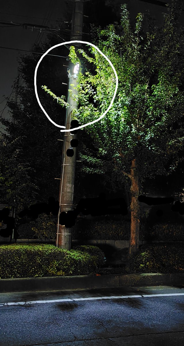 k_lieutenant_dk's tweet photo. #入間市
#街路灯少ない
#夜間暗い市
#街路樹の手入れ無
#電柱設置街路灯
#街路樹の葉
#予算削減効果か
市内で夕方の暗い路上の…
街灯を撮って見た

電柱設置で灯が街路樹の葉で覆われてて半分しか明るくない

電線も街路樹に隠れる程手入れなく

反対側歩道上には街路灯はないので
撮影した場所は暗い https://t.co/7M8sNo3VRl