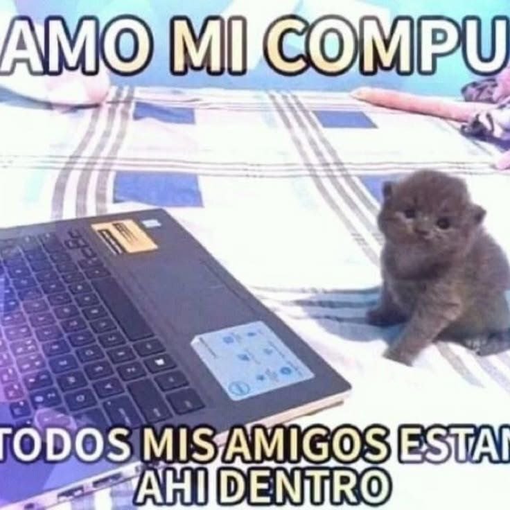 valley_ly's tweet photo. Los quiero mucho, chicos. No se qué haría sin ustedes un

animechfail https://t.co/wVuddnmrrY
