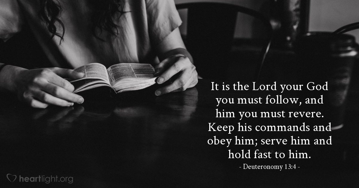VerseOfTheDay's tweet photo. Verse of the Day - Deuteronomy 13:4 dlvr.​it/TVrcNF https://t.co/iaFoSQatq4