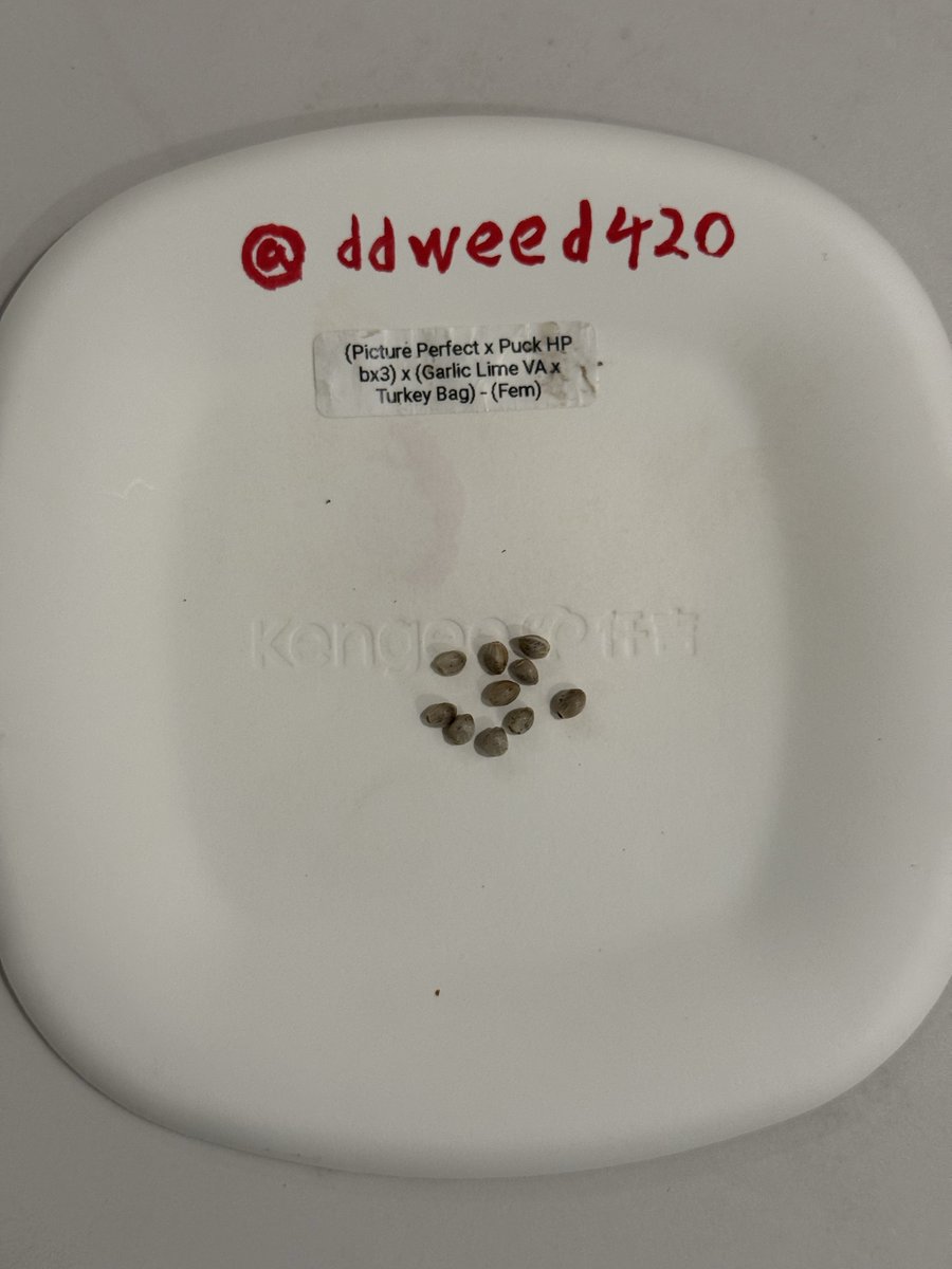 ddweed420's tweet photo. 打包发走✈️
高品质大麻种子 国内现货 https://t.co/GtM8GIBl3V