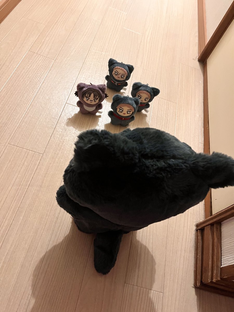 fuchi___no's tweet photo. 実家に用事あるから行くのにメンタルしょぼしょぼ故でかとちみずについてきてもらった。なお自分の着替え等全て忘れてた https://t.co/hOE8msu6es
