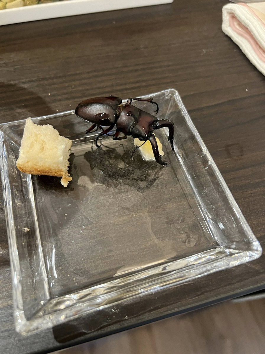 robertmazzoni's tweet photo. バズ狙いのミスパーダ引用鬱陶しいからやめろ
触れるだけ無駄 https://t.co/5HKLjfk7WC