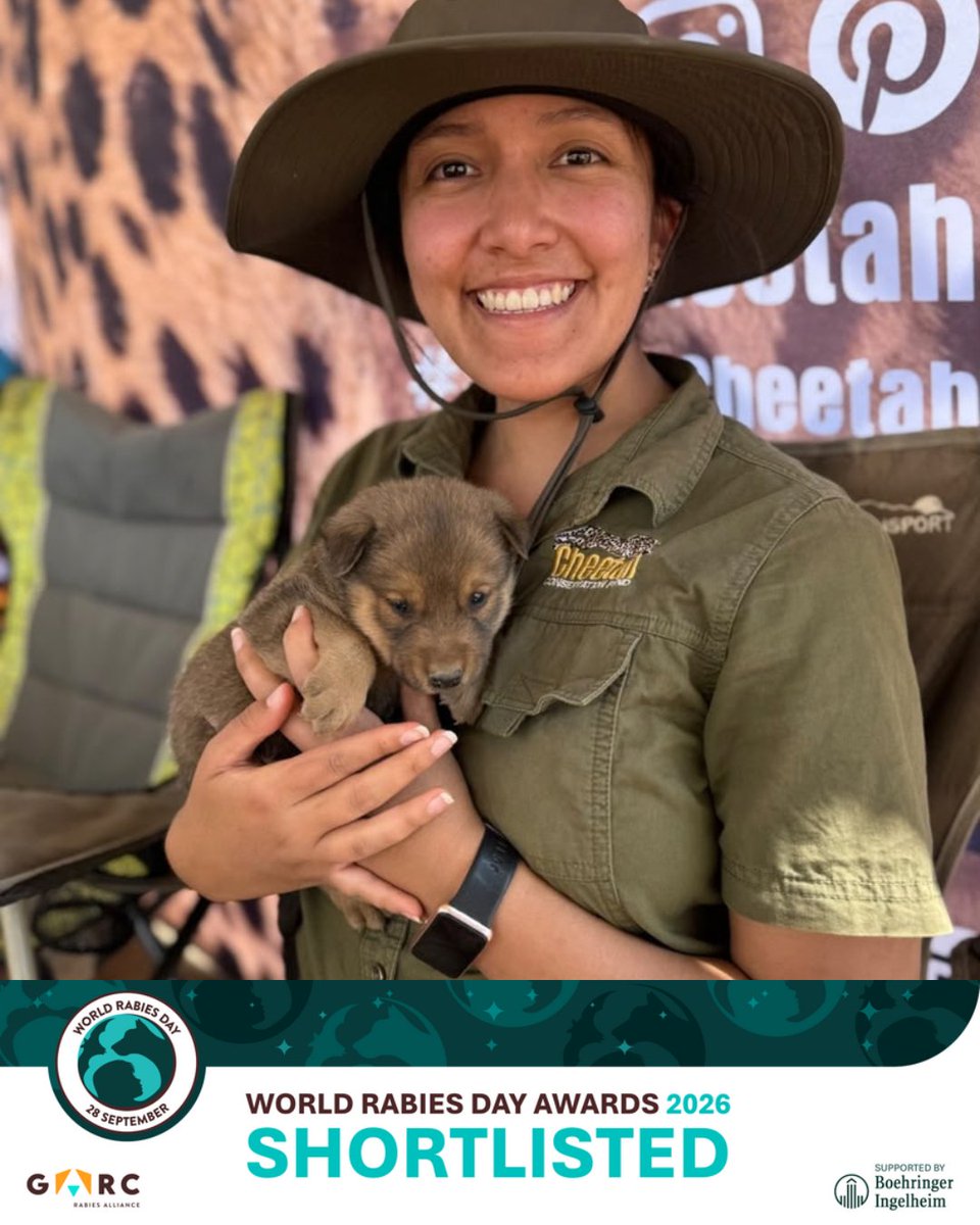 CCFCheetah's tweet photo. Dr. Anahi Hidalgo, Rabies Program Coordinator at Cheetah Conservation Fund (CCF) in #Namibia, has been shortlisted as a 2026 World Rabies Day Champion by the Global Alliance for Rabies Control (GARC).

This a really meaningful recognition of the #rabies outreach work CCF has been in Namibia’s communal #conservancies, including #vaccination campaigns, community education, and One Health activities. Since the program launched in 2019, more than 13,000 dogs and cats have been vaccinated, helping to protect domestic animals, humans, and #wildlife from one of the deadliest zoonotic diseases on the planet.

➡️Voting closes on October 28!

🔗To vote for Anahi, visit:
https://t.co/ZJMMMJmOIU