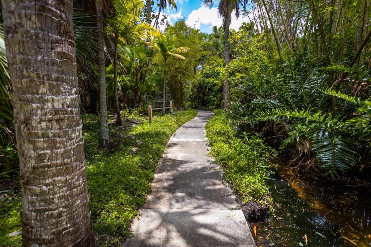 FloridaTech's tweet photo. Scenes from one of the best walks across campus. 🐢 https://t.co/GSFplDV5GZ