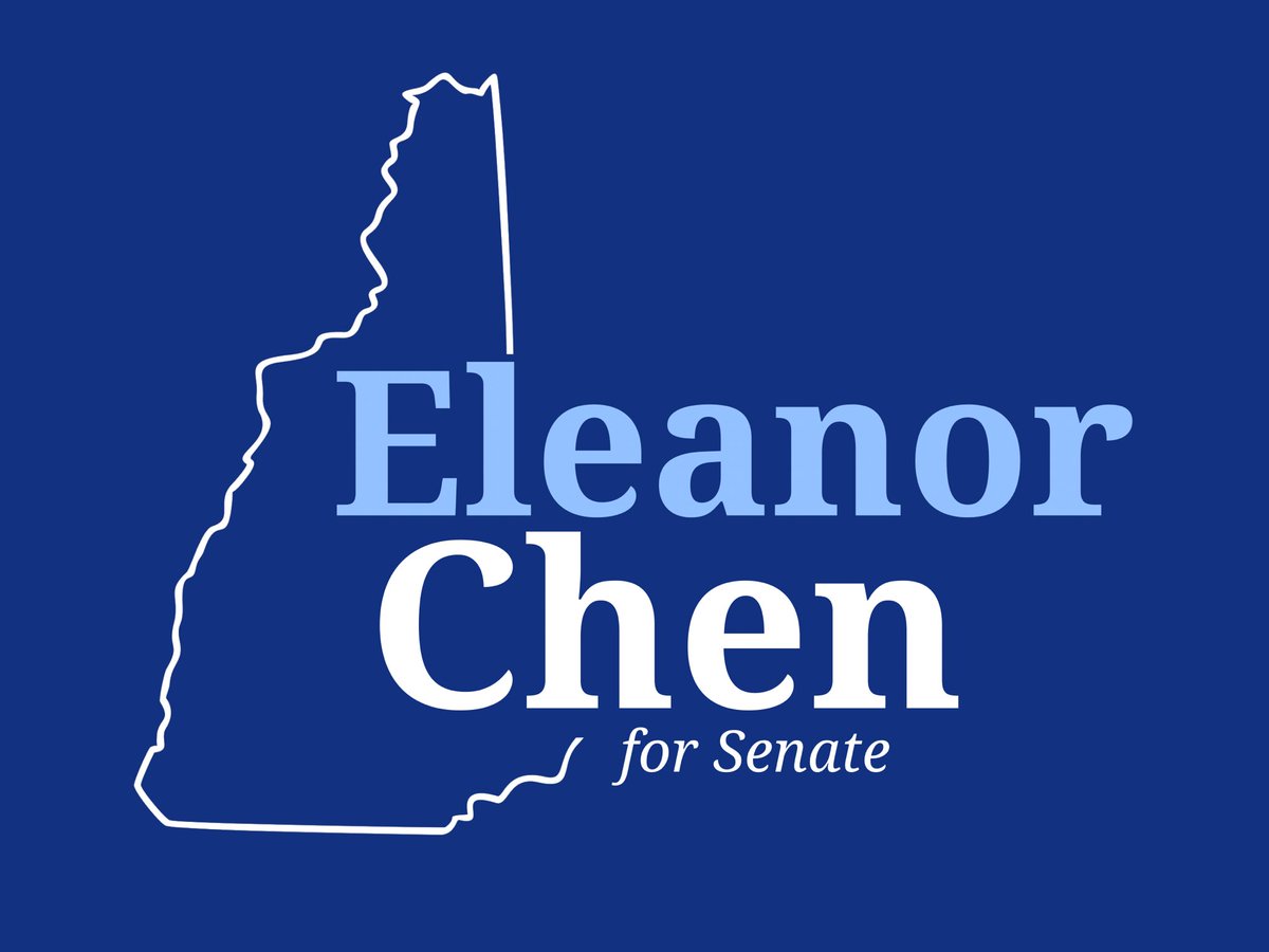 DrEleanorChen's tweet photo. A vote for Eleanor Chen is a vote for dedication, a vote against foreign PACS, and a vote for integrity. Make the right decision this election. https://t.co/VCyd6yonKN